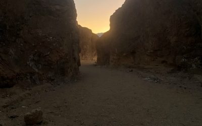 Hope: A Commitment to Staying in Relationship